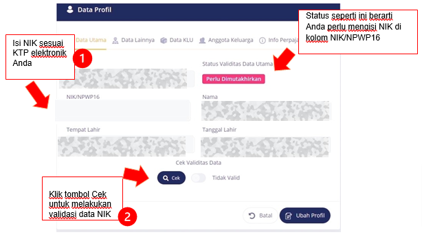 cek npwp dengan nik