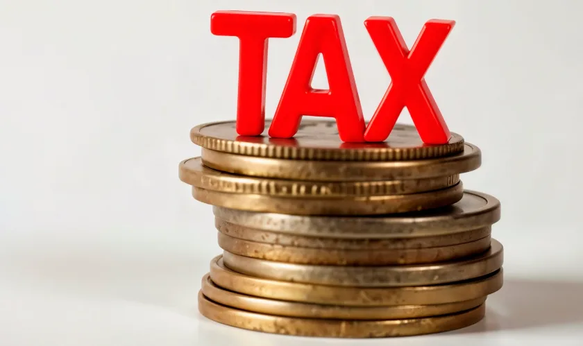 software payroll otomatis