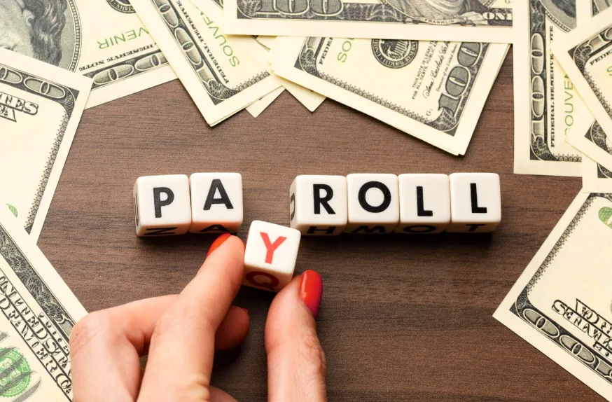 aplikasi payroll otomatis